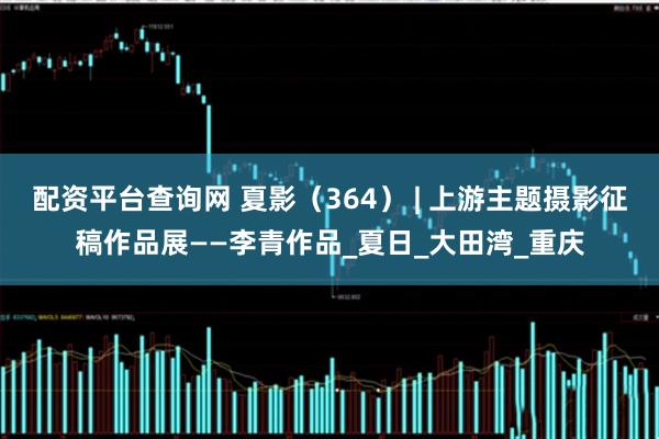 配资平台查询网 夏影（364） | 上游主题摄影征稿作品展——李青作品_夏日_大田湾_重庆