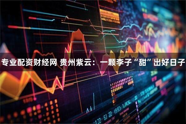 专业配资财经网 贵州紫云：一颗李子“甜”出好日子